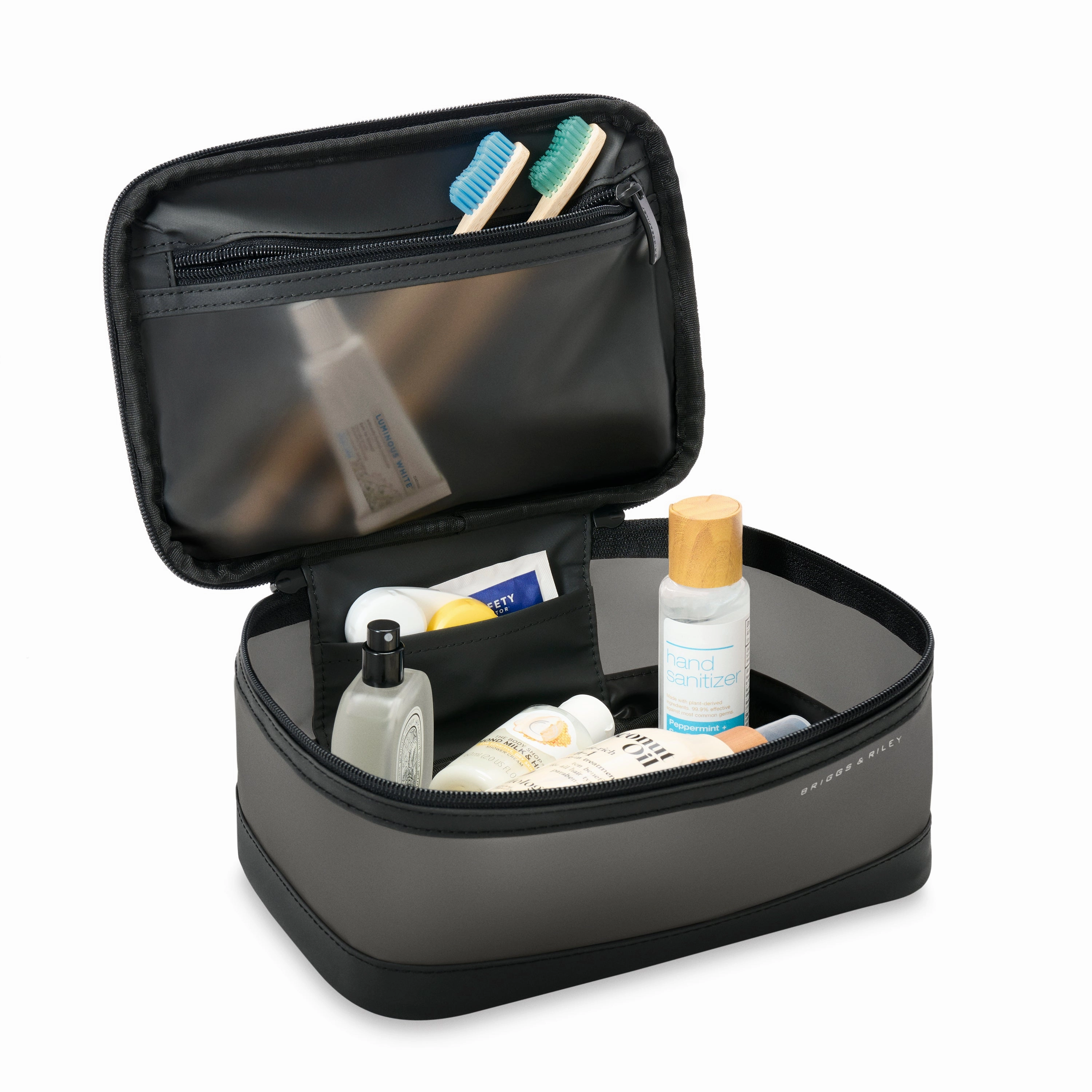 Briggs & Riley Travel Essentials Translucent Essentials Case