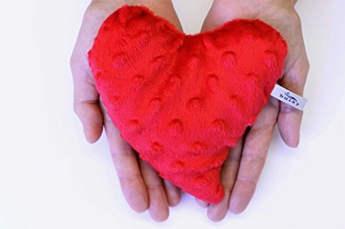 Bucky Heartwarmer, Soothing, Hot & Cold Therapy Pillow, All Natural Buckwheat Seed Filling, Extra