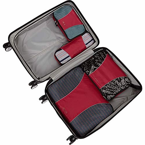 eBags Packing Cubes for Travel - 4pc Classic Plus Set - (Titanium)