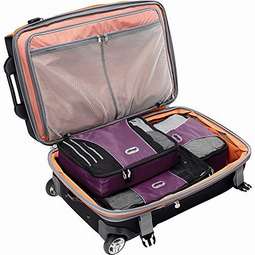 eBags Packing Cubes for Travel - 6pc Value Set - (Eggplant)