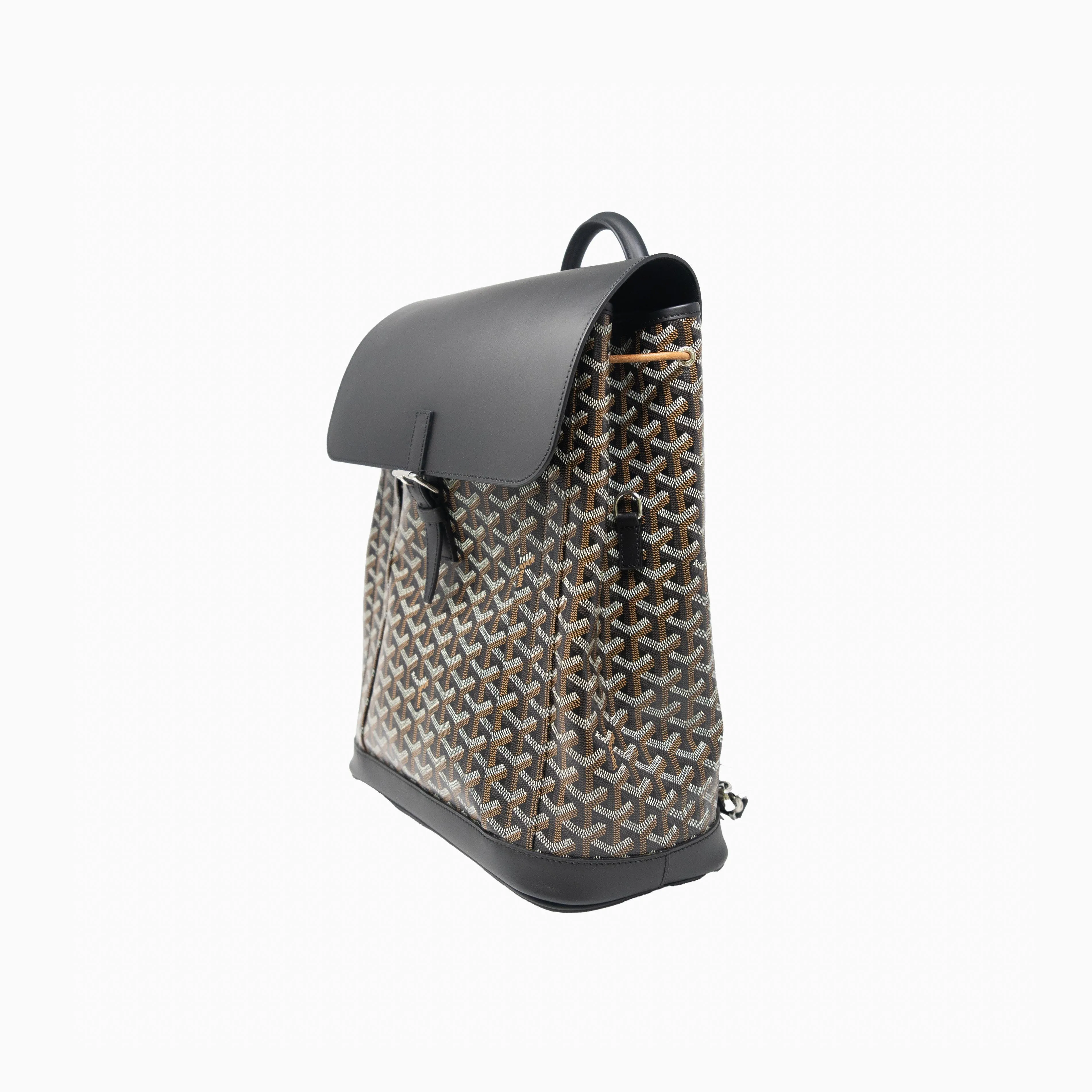 Goyard Black Alpin MM Backpack