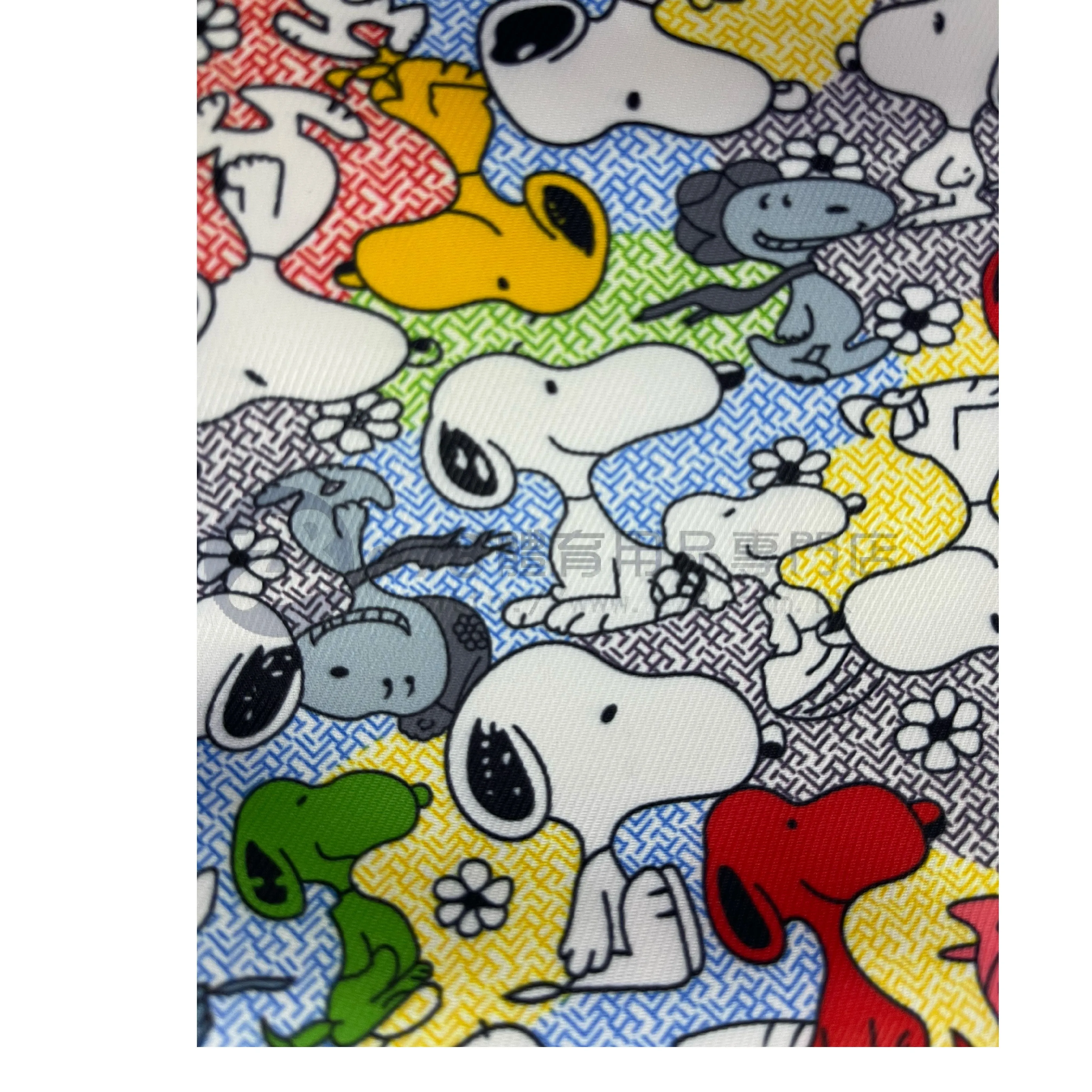 Handmade Water Resistant Racket Case ( color snoopy 224??