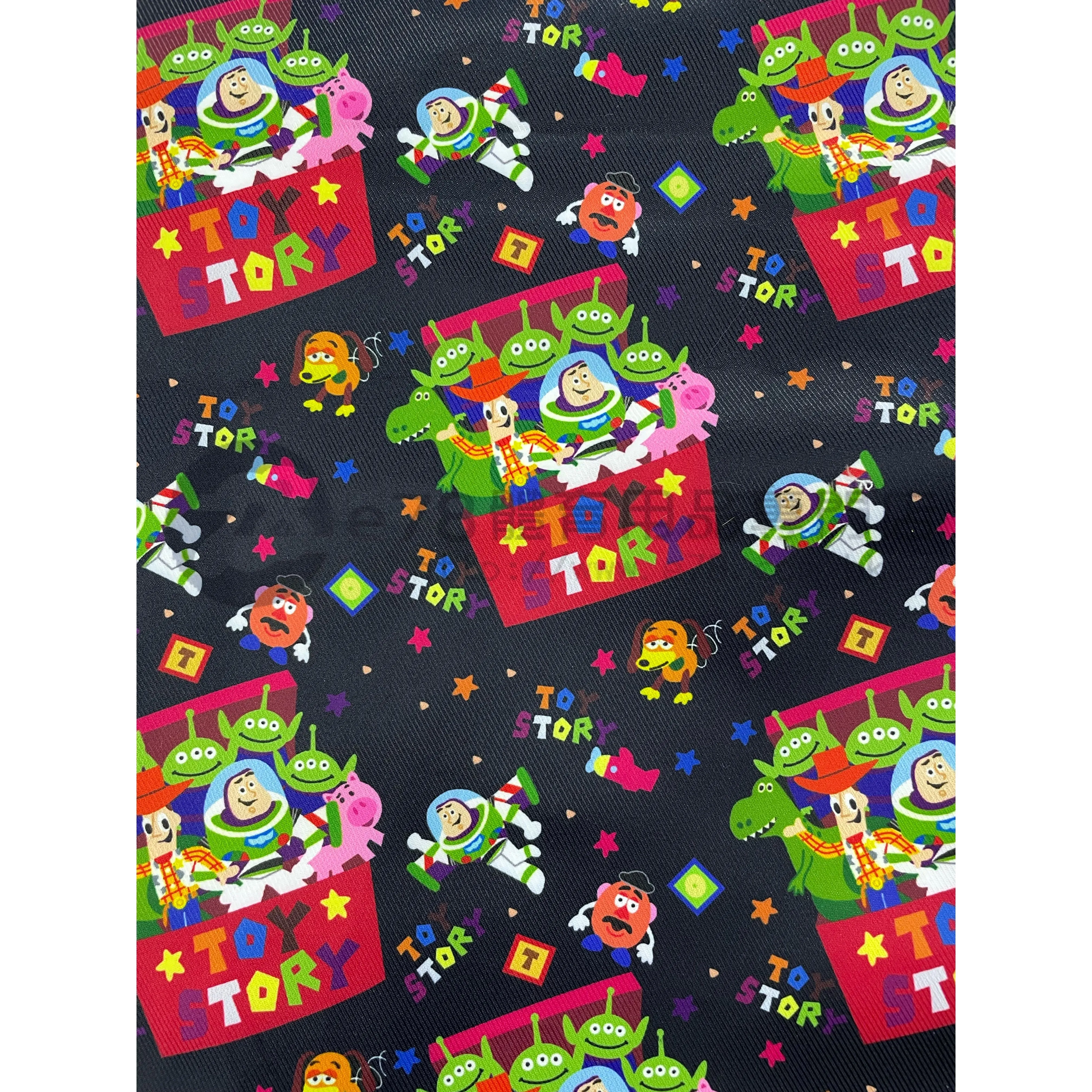 Handmade Water Resistant tennis Case (Back toys story 179??