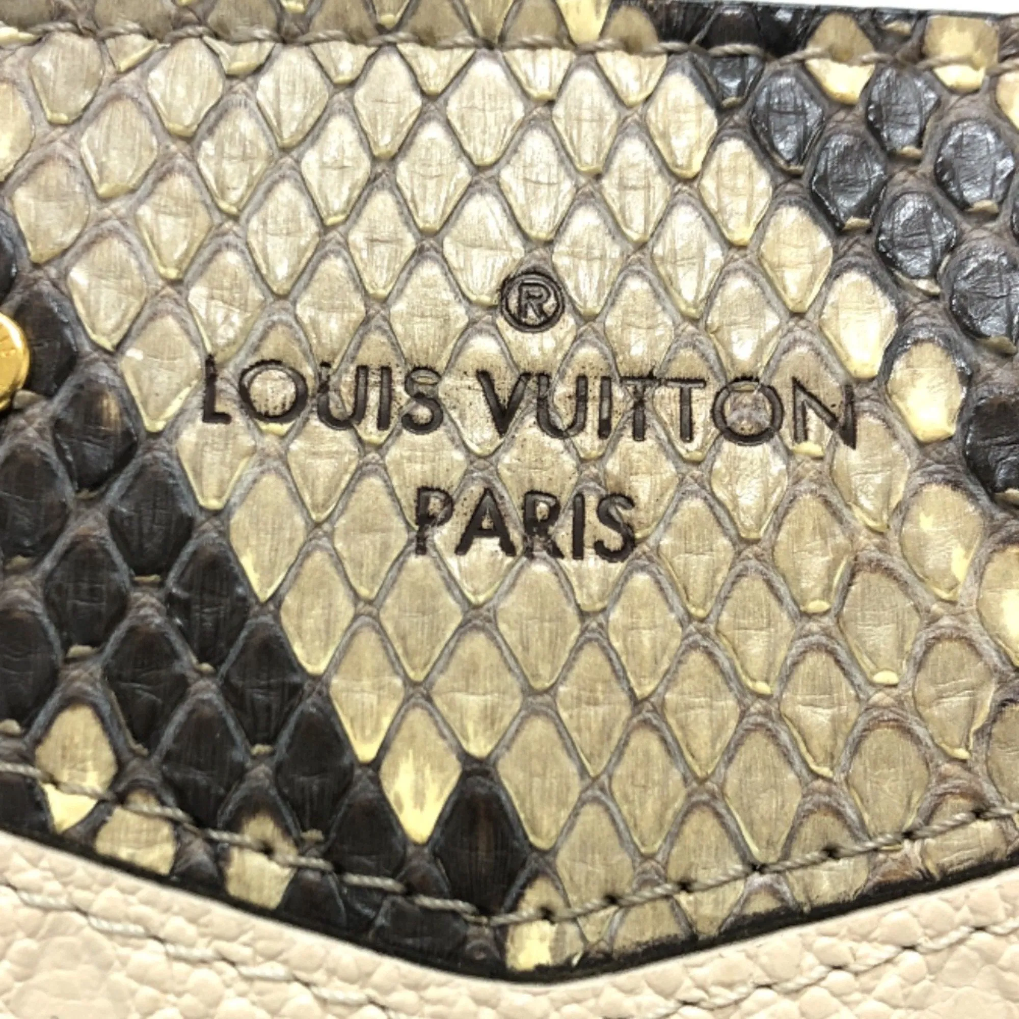 Louis Vuitton  Leather Shoulder Bag