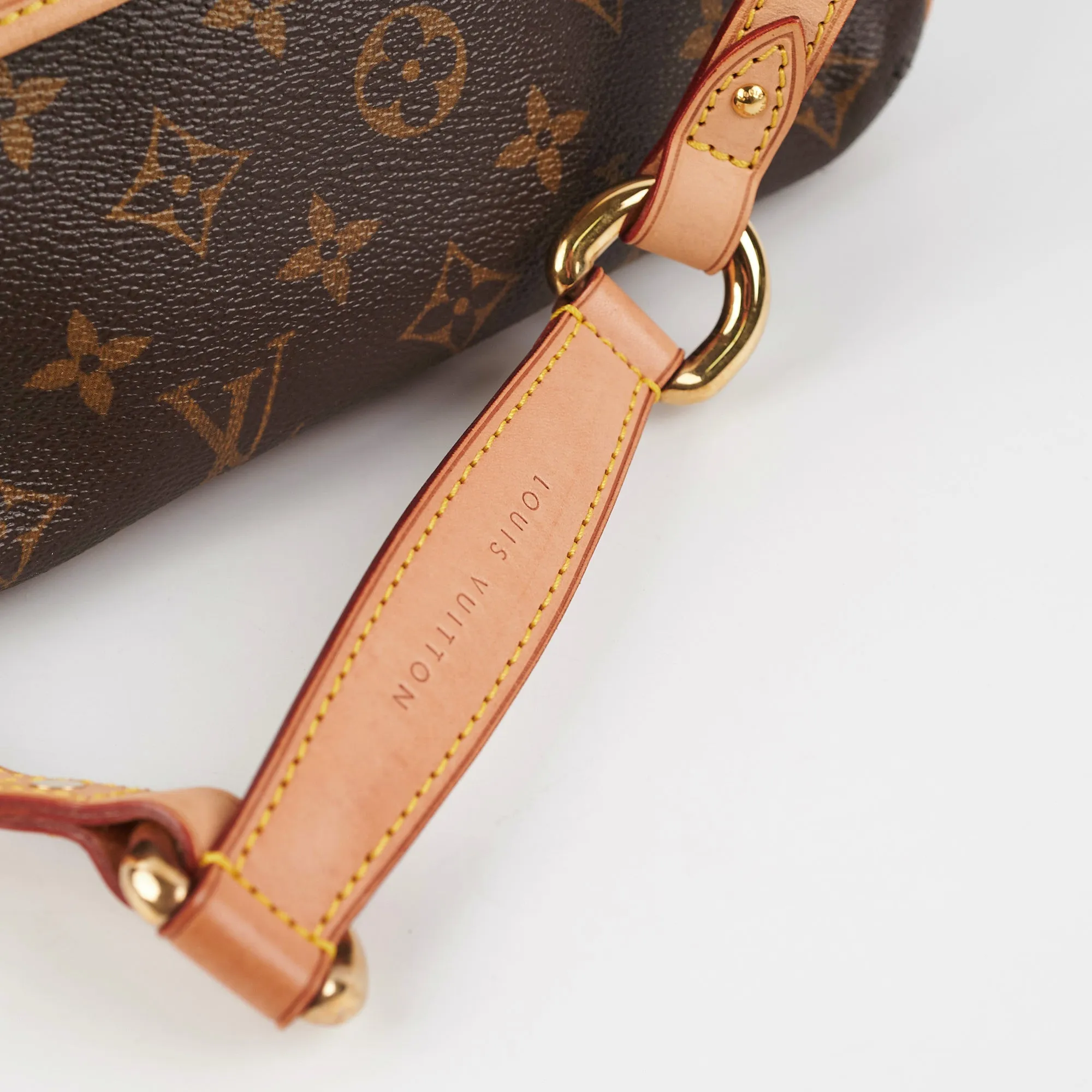 Louis Vuitton Monogram Canvas Tikal PM Shoulder Bag