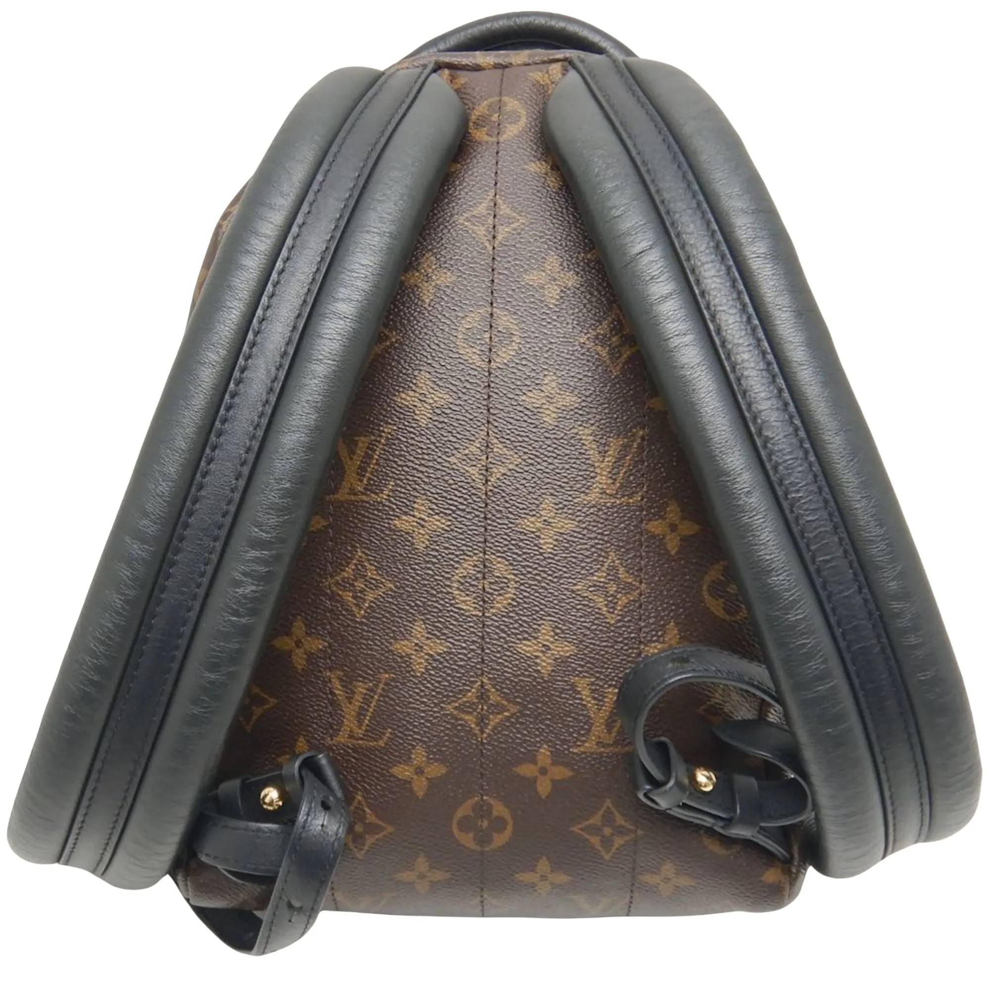 Louis Vuitton Palm Springs Canvas Backpack Bag (Pre-Owned)