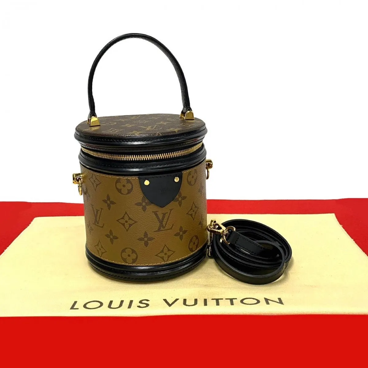 LOUIS VUITTON Shoulder Bag Leather, PVC Brown Monogram reverse Cannes Women Used