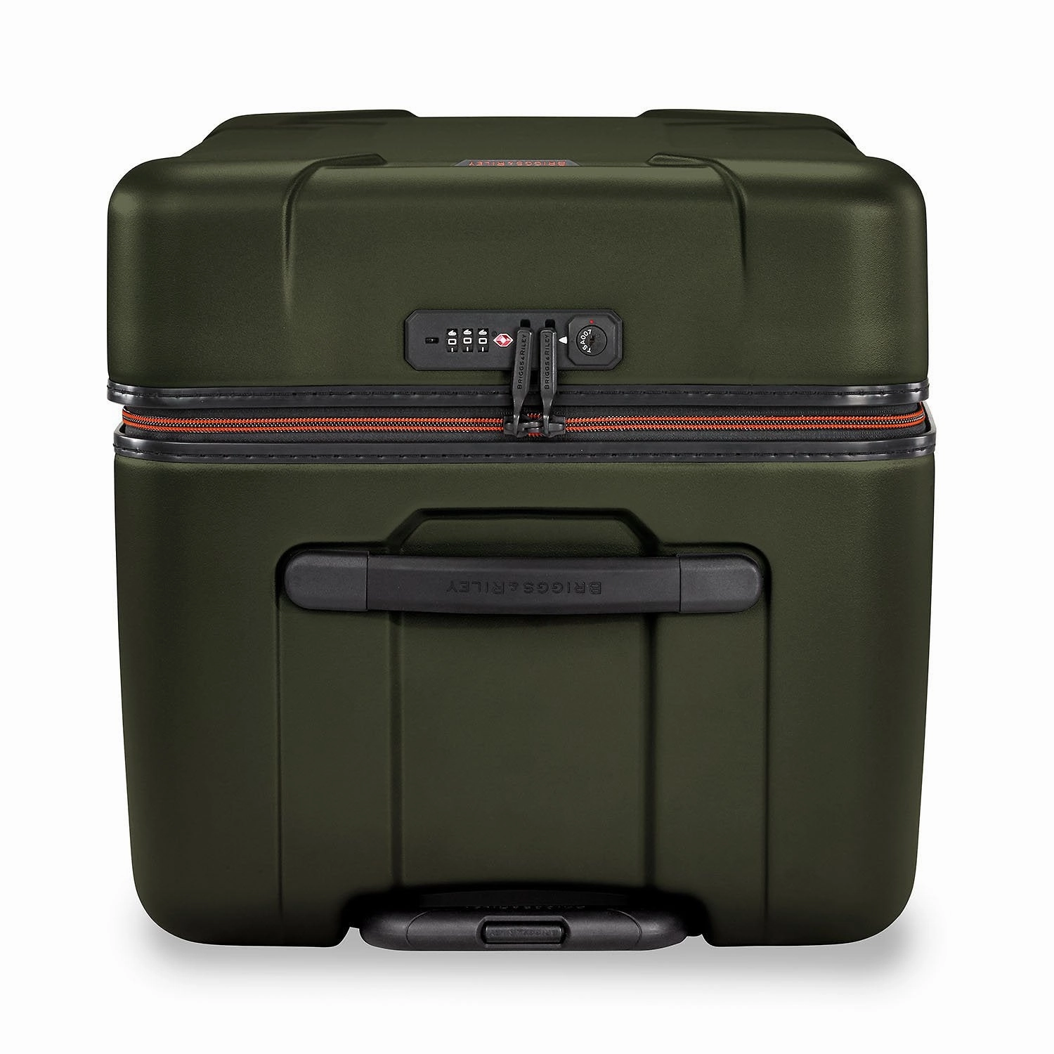 Medium Trunk Spinner - Torq Collection
