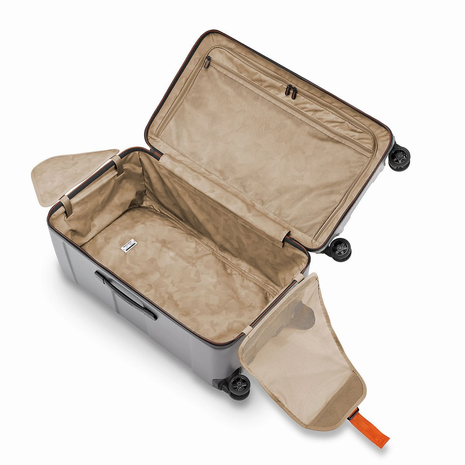 Medium Trunk Spinner - Torq Collection