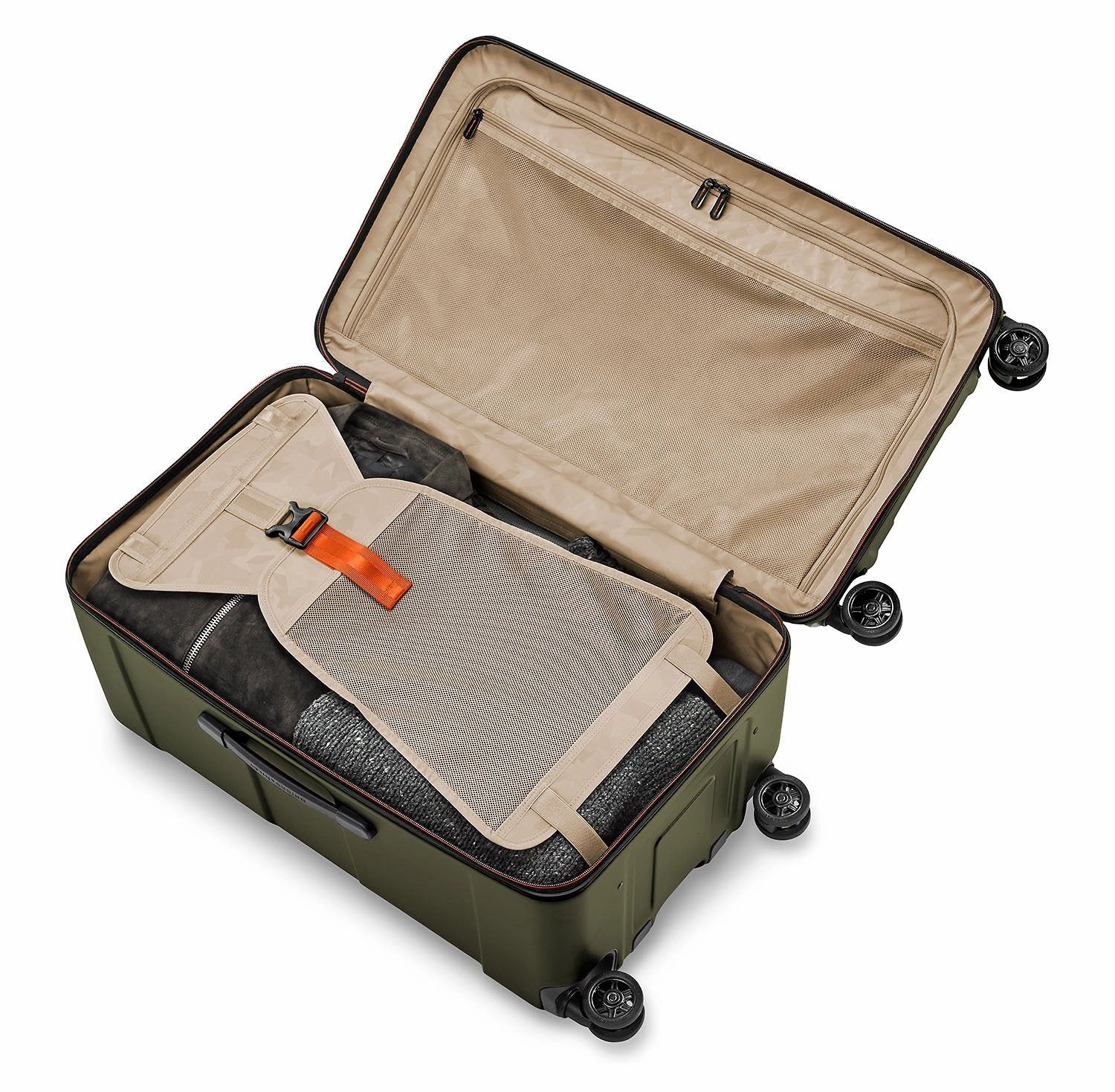 Medium Trunk Spinner - Torq Collection