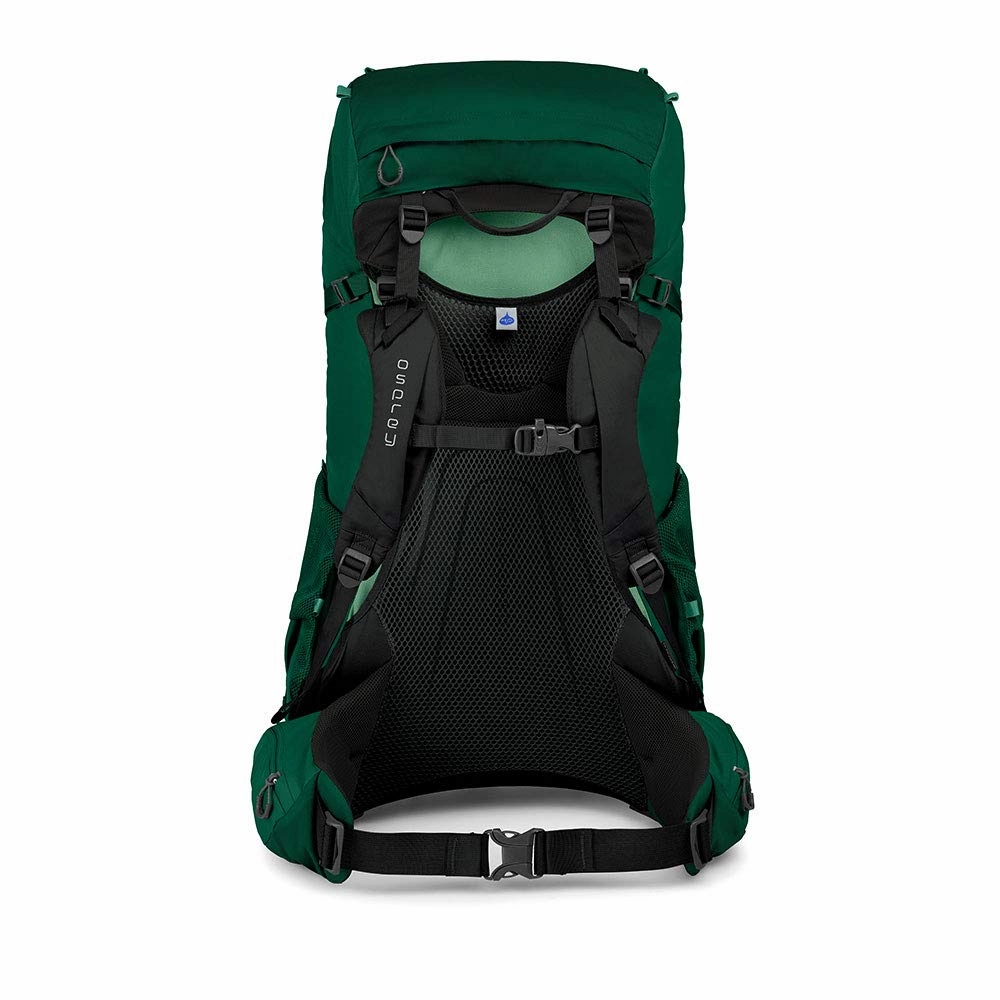 Osprey Packs Rook 65 Backpacking Pack, Mallard Green, One Size