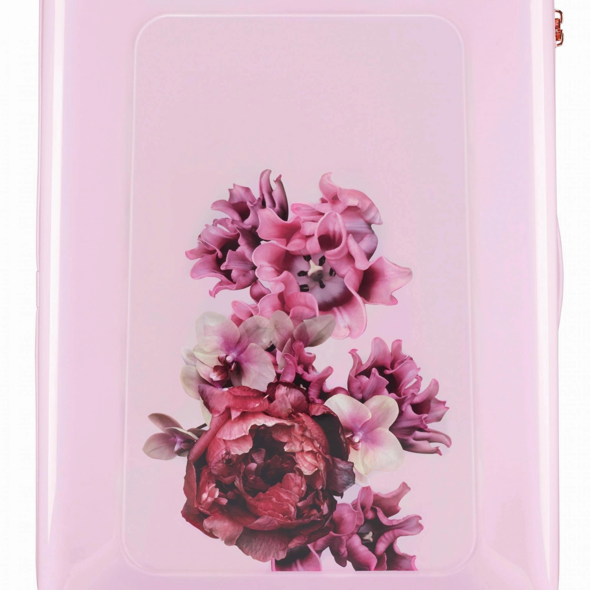 Ted baker Women's Hardside Carry-On 4-Wheel Carry-On Luggage