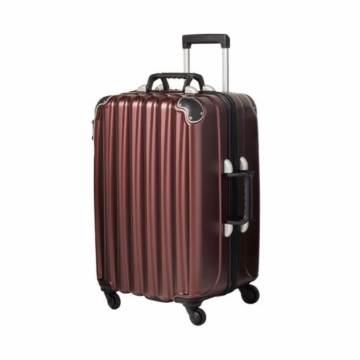 VinGardeValise Wine Carrier The Grande
