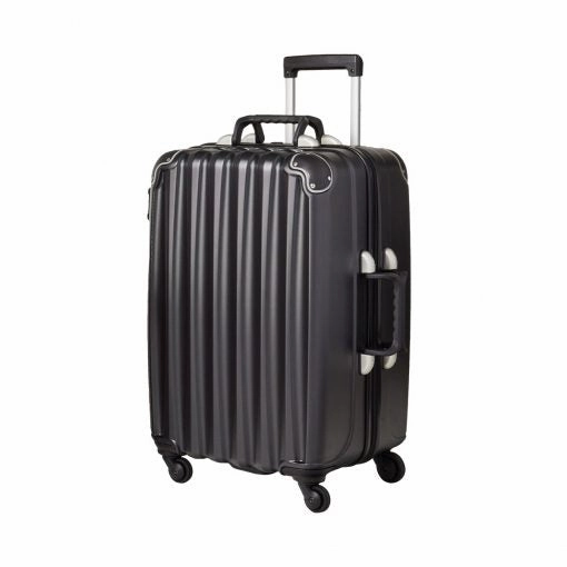 VinGardeValise Wine Carrier The Grande